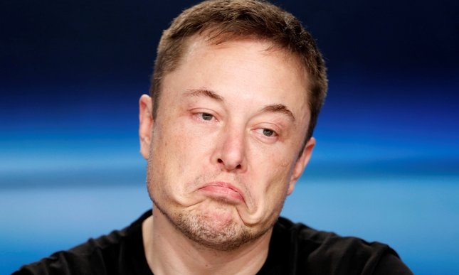 Elon Musk CEO of Dogecoin for a day