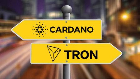 The Expanding NFT Space: Cardano NFTs and Tron NFTs