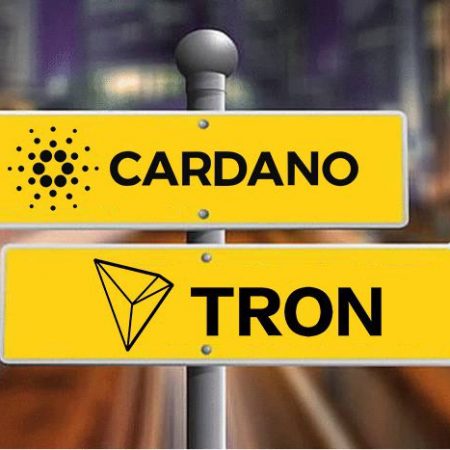 The Expanding NFT Space: Cardano NFTs and Tron NFTs