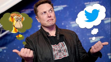 Elon Musk, Twitter, Ape PFPs, And Everything In Between