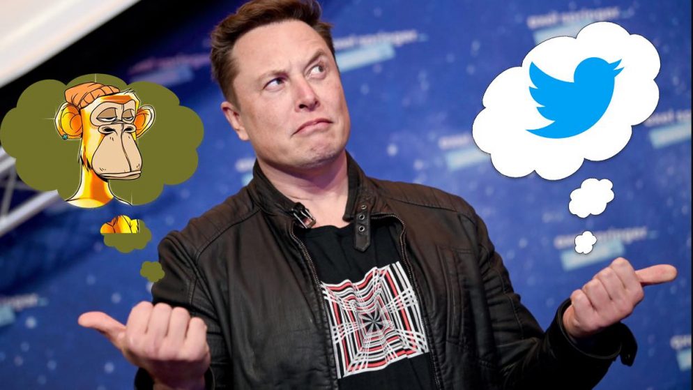 Elon Musk Buys Twitter, did he also buy a BAYC?