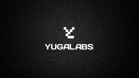 Yugalabs Update: A Rollercoaster Year!