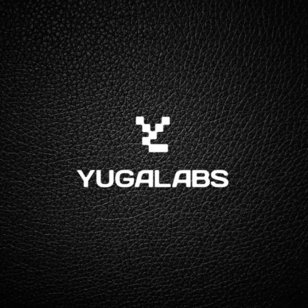 Yugalabs Update: A Rollercoaster Year!